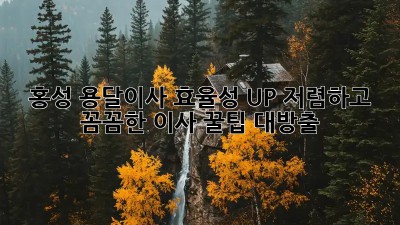 홍성 용달이사 효율성 UP! 저렴하고 꼼꼼한 이사, 꿀팁 대방출! 🎉